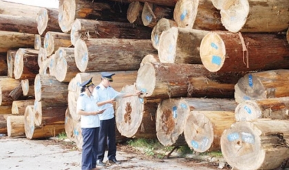 Xếp hạng các loại gỗ quý trên thế giới.