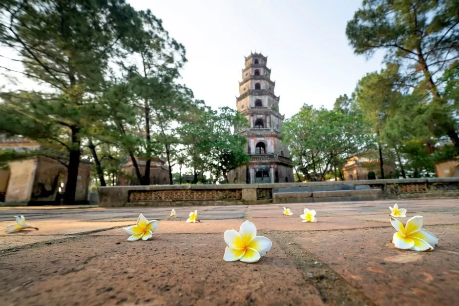Hoa nở trong khuôn viên chùa Thiên Mụ